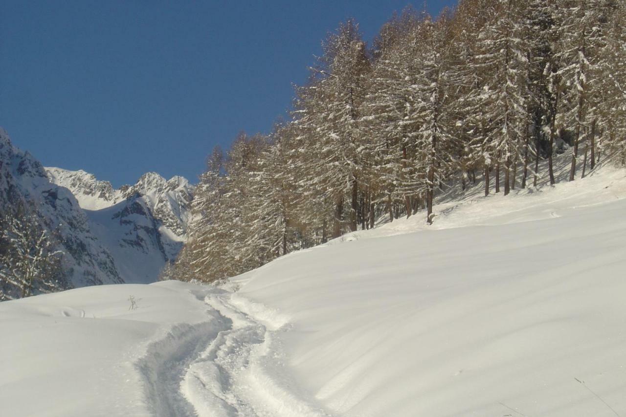 Residence Cavallino Ponte Di Legno Exteriör bild
